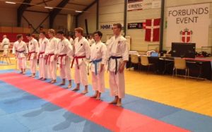 Seiki Karate-do Kai